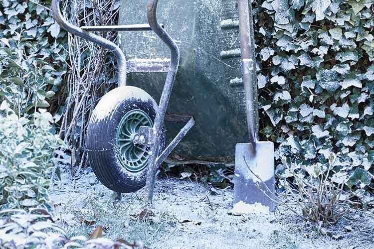 tuinkalender januari welkoop advies tuinkalender januari welkoop advies