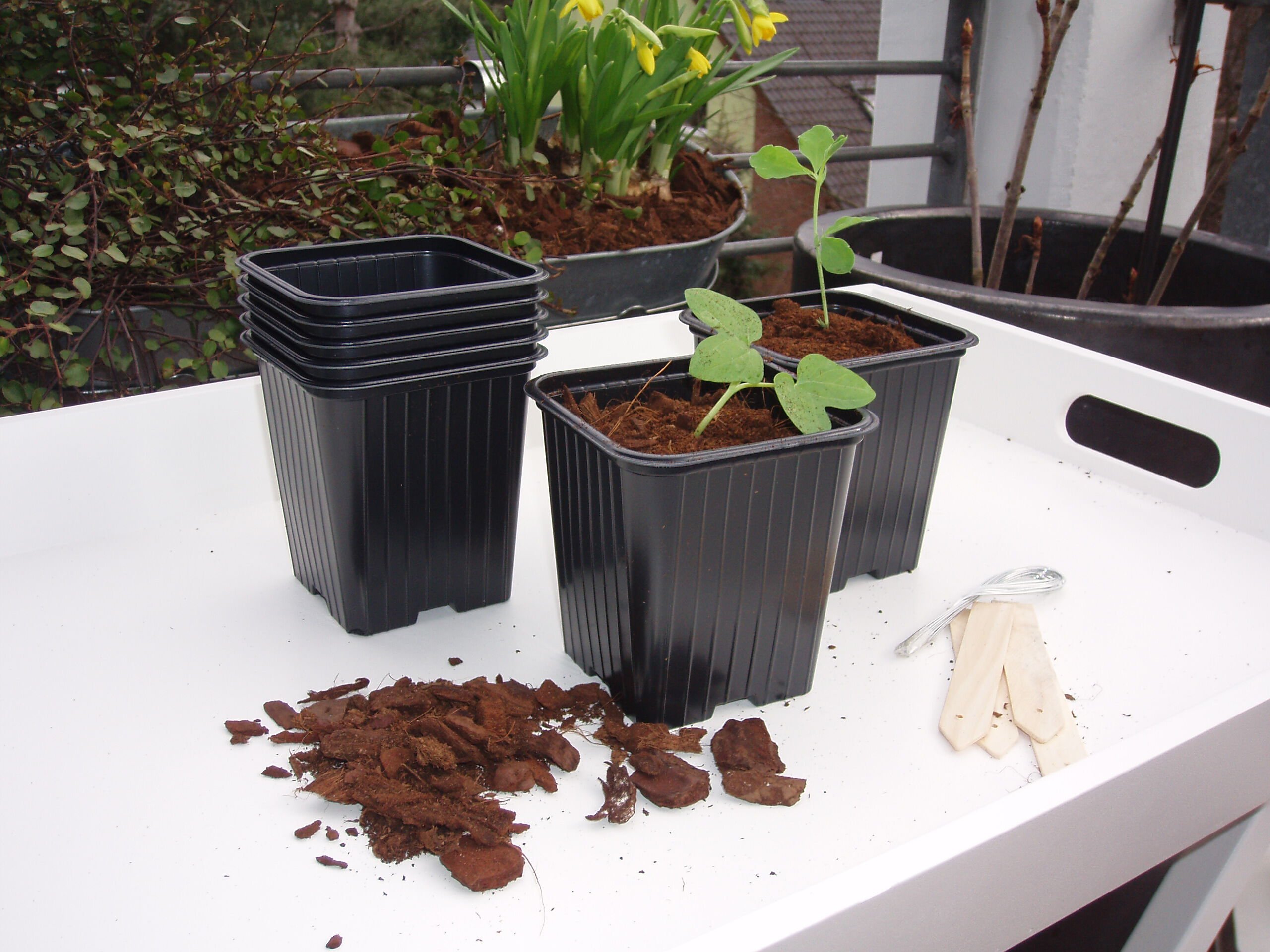 Nature Stekpotjes - Kweekbenodigdheden - 14x9x13.5 cm Nature Stekpotjes - Kweekbenodigdheden - 14x9x13.5 cm