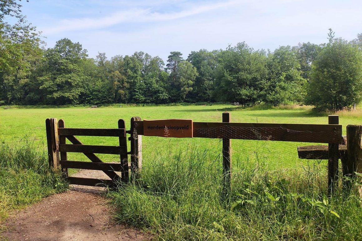 Top 5 losloopgebieden Overijssel welkoop