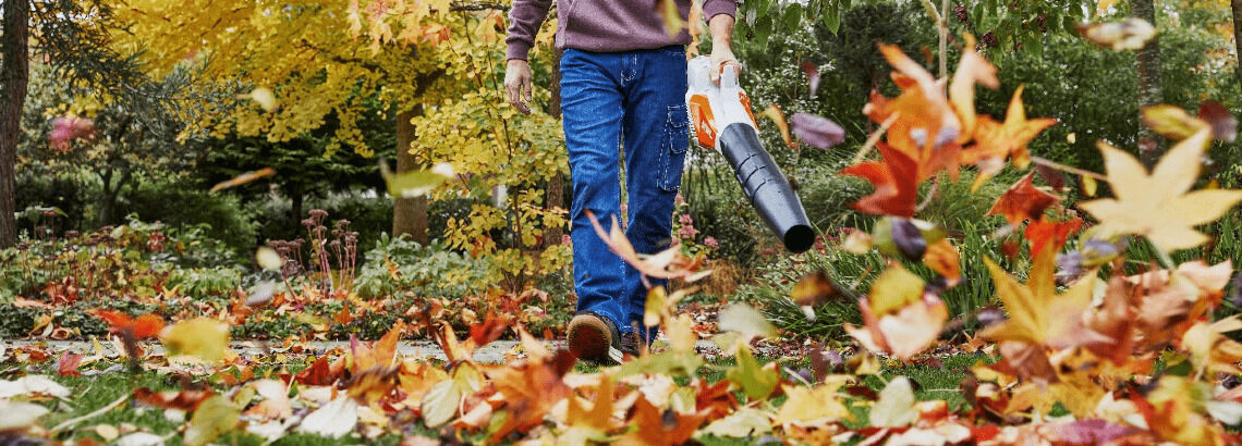 [paste advice page name here]