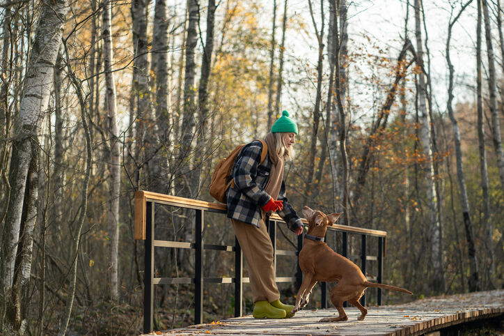 Hoe vaak mag je hond uitlaten welkoop