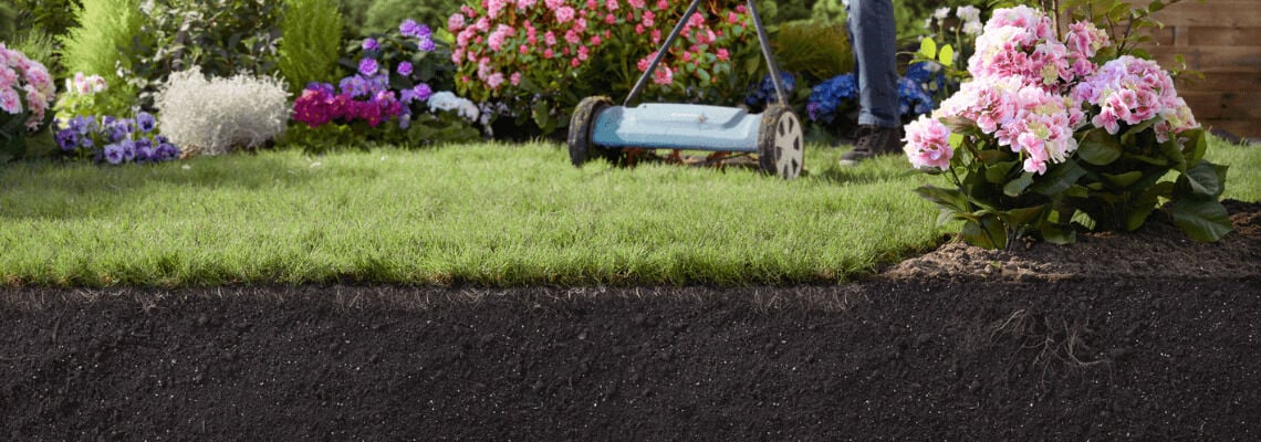 [paste advice page name here]