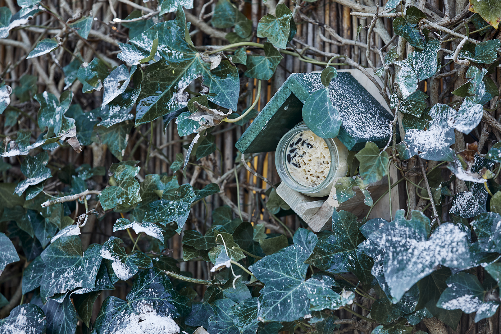 pindakaas vogels winter welkoop