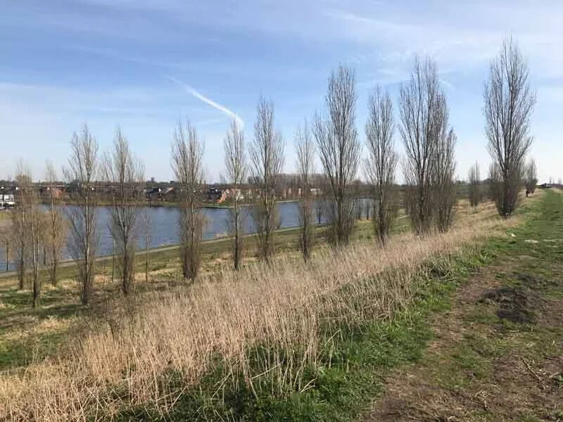 veldhuizerpark utrecht losloopgebieden groningen welkoop