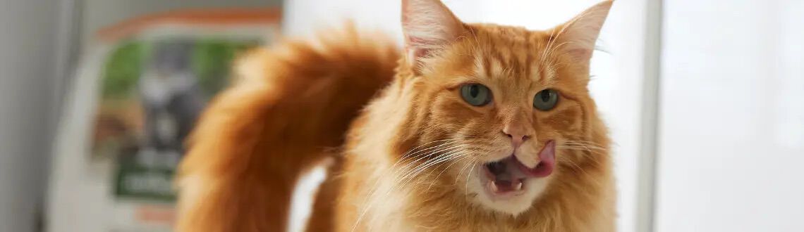 [paste advice page name here]