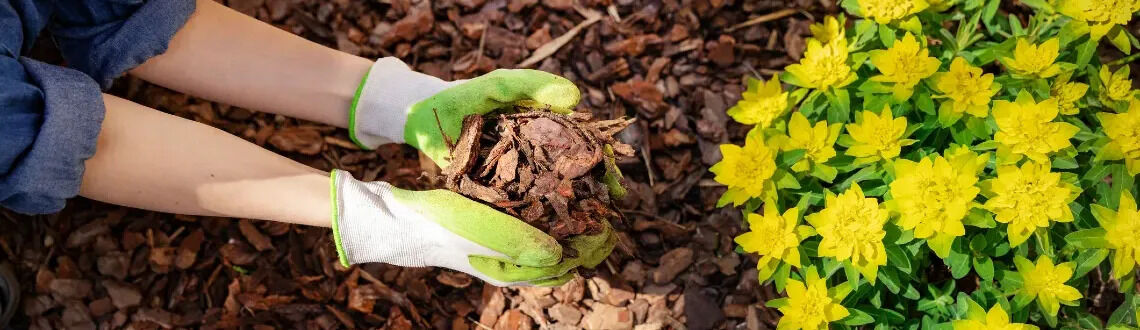 [paste advice page name here]