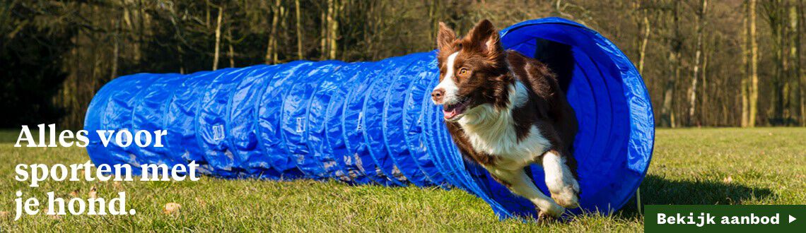 Alles voor sporten met je hond - Bekijk producten