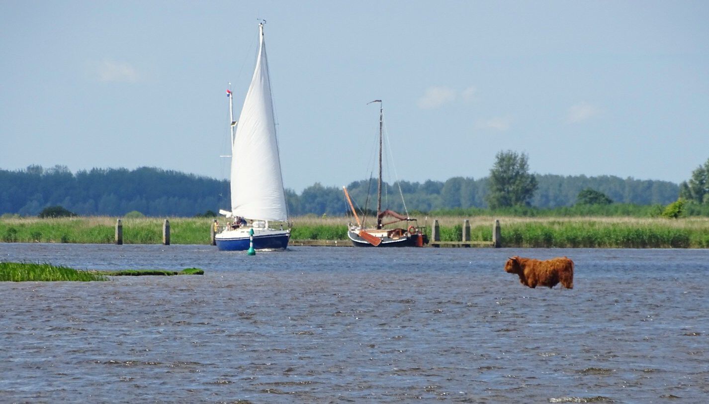 Lauwersmeer groningen losloopgebieden welkoop