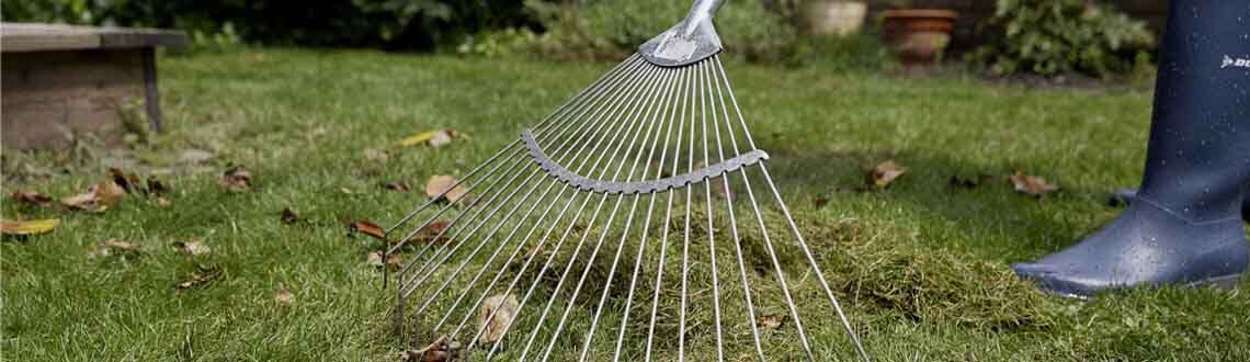 [paste advice page name here]