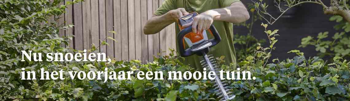 [paste advice page name here]