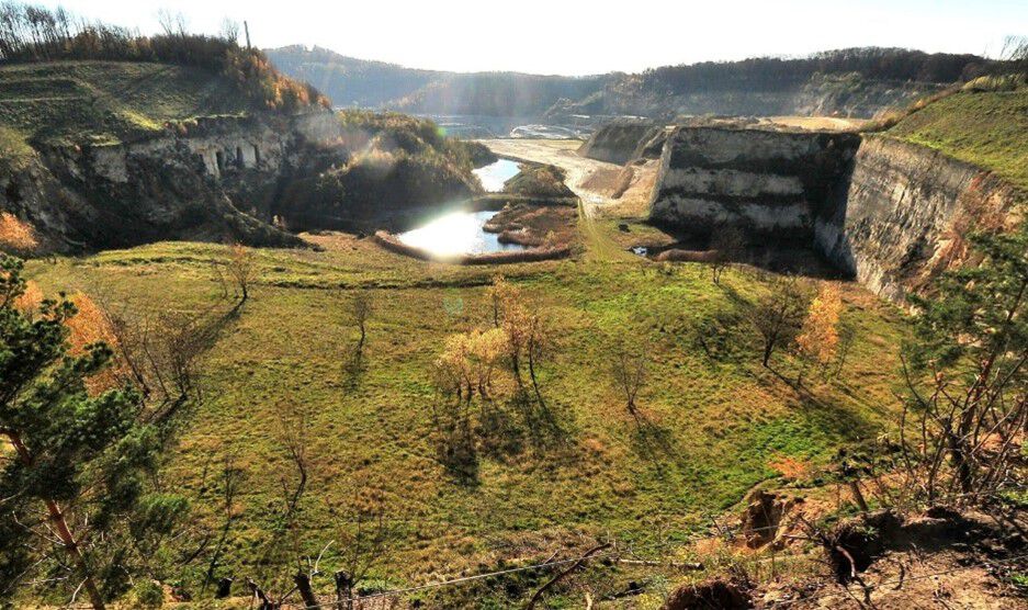 Sint-pietersberg limburg losloopgebied welkoop