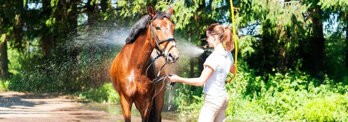 [paste advice page name here]