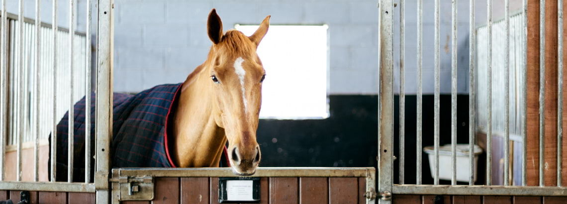 [paste advice page name here]