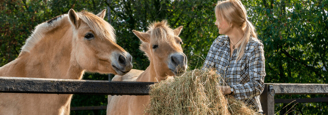 [paste advice page name here]