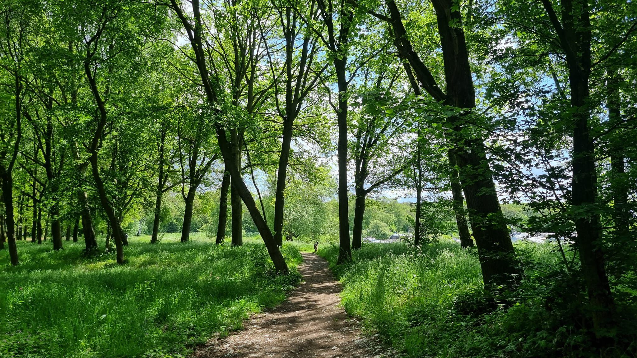 Bergherbos losloopgebied gelderland welkoop