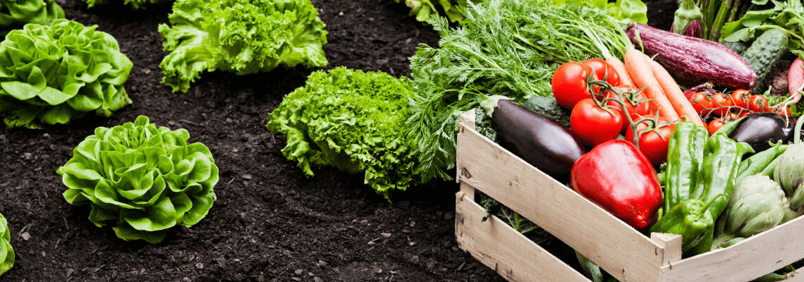 [paste advice page name here]