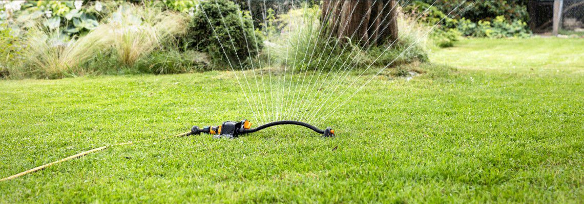 Wanneer en hoe vaak moet ik mijn gras sproeien?