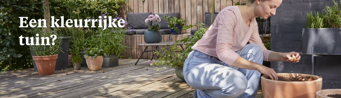 [paste advice page name here]