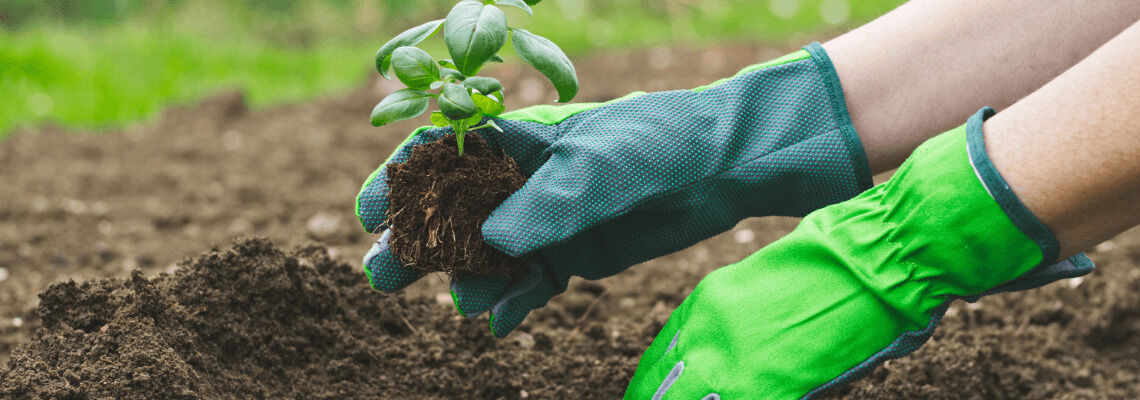 [paste advice page name here]