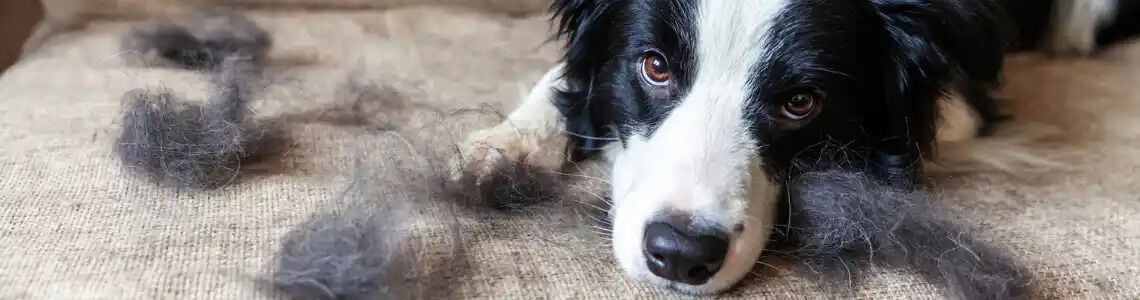 [paste advice page name here]