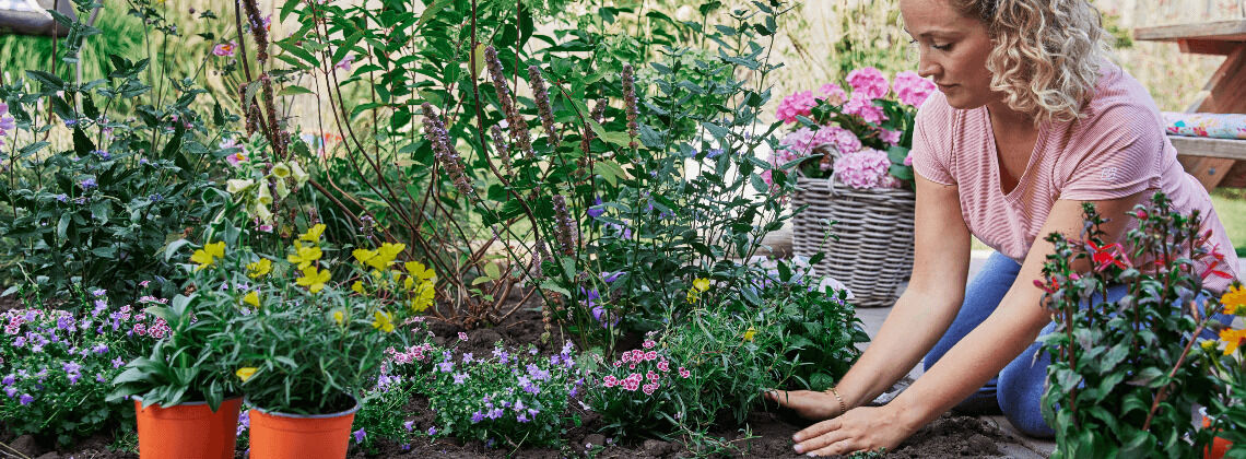 [paste advice page name here]