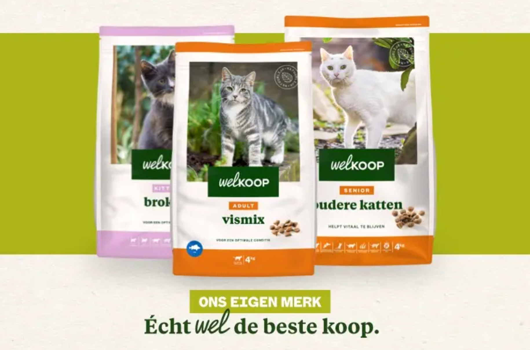 EM Kat 2024 EM Kat 2024