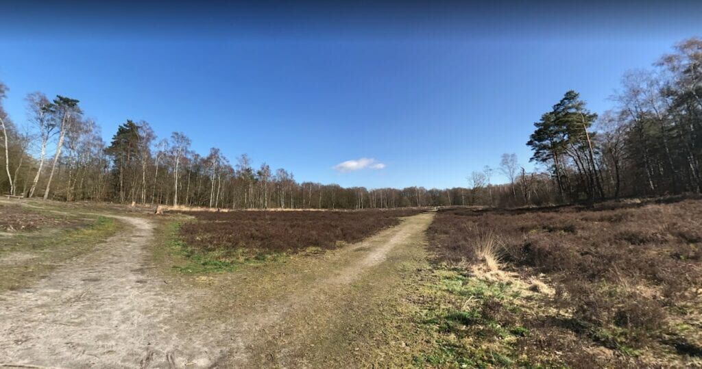 Wechelerveld overijssel losloopgebieden welkoop