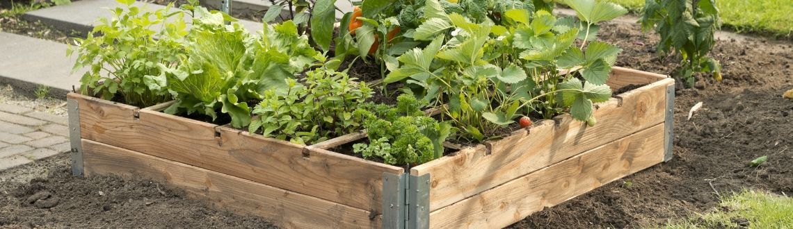 [paste advice page name here]