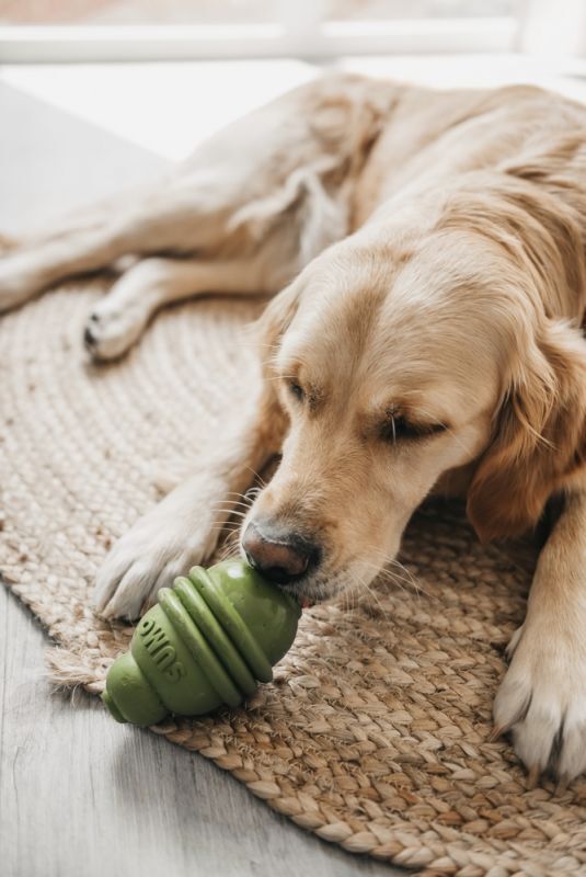 Hond speeltje sumo welkoop