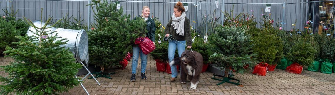 [paste advice page name here]