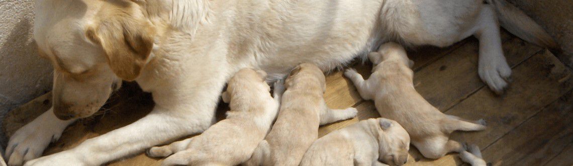 [paste advice page name here]