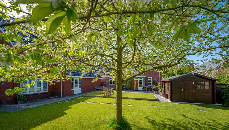 [paste advice page name here]