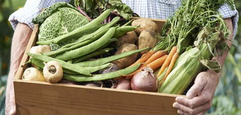 [paste advice page name here]