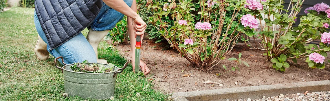 [paste advice page name here]