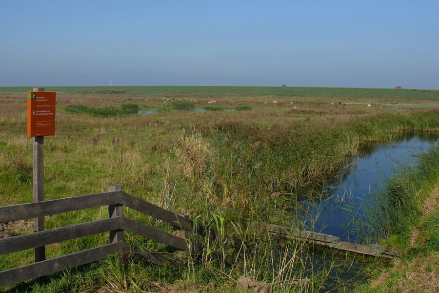 Roggebotzand losloopgebied flevoland