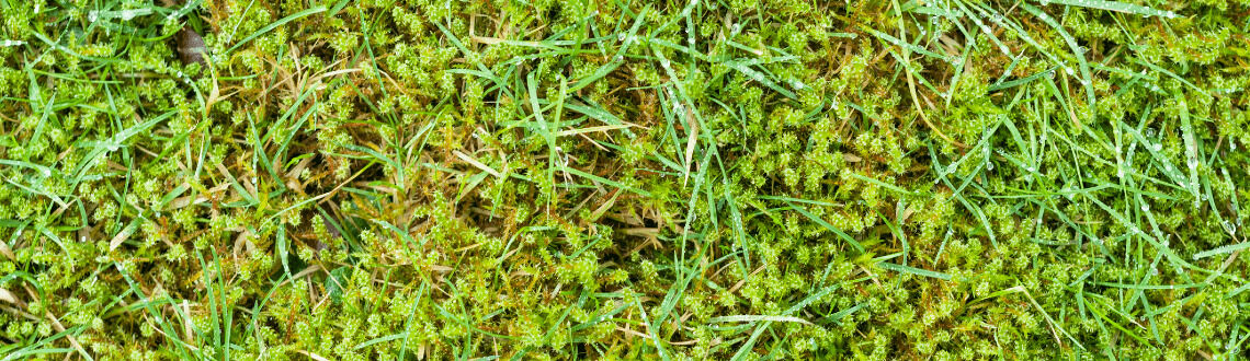 [paste advice page name here]