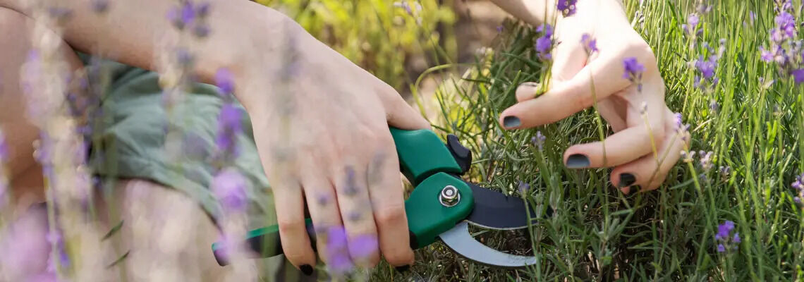 [paste advice page name here]