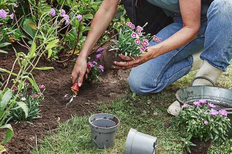 tuinkalender april welkoop