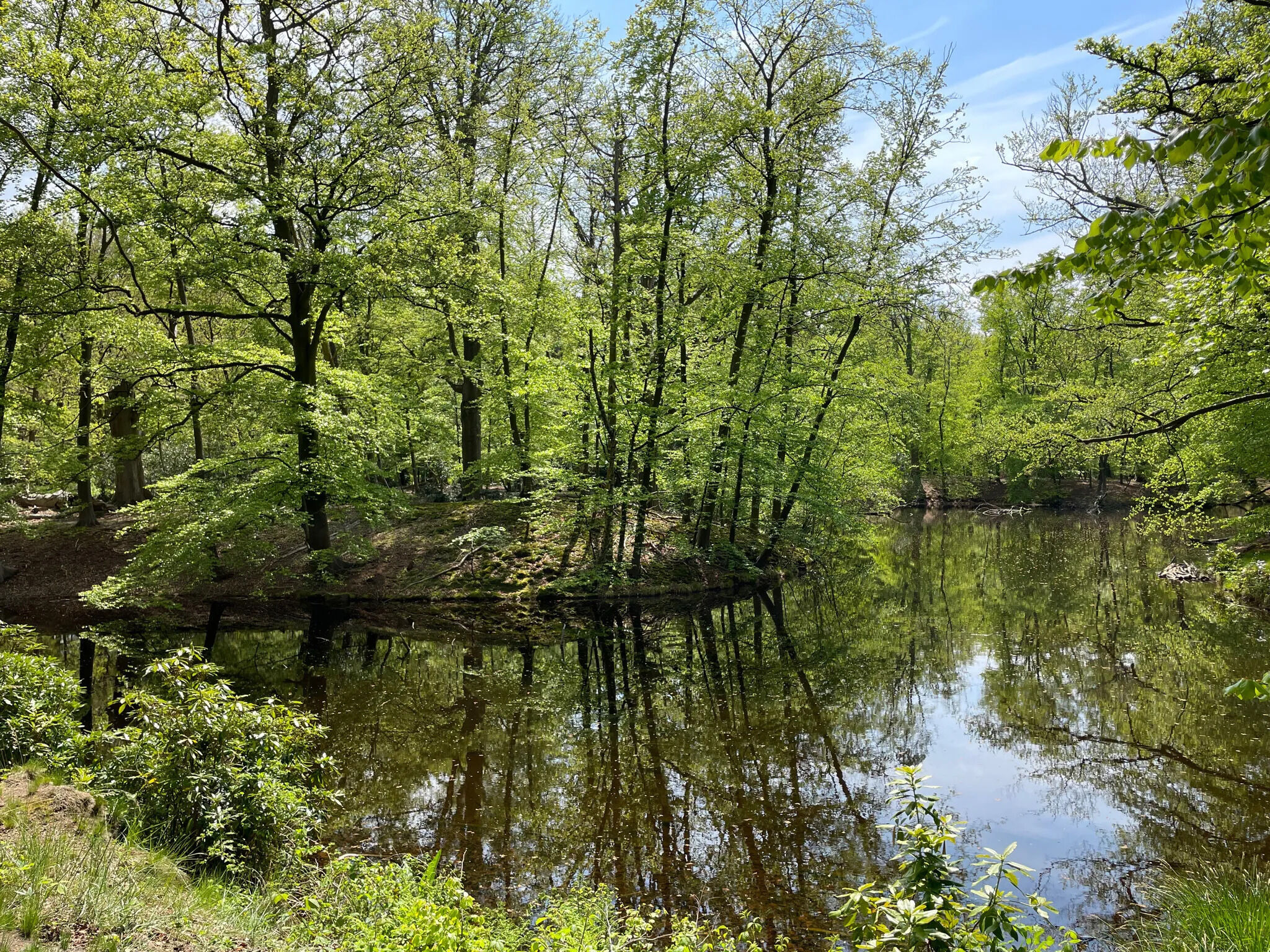spanderwoud noord holland losloopgebieden welkoop