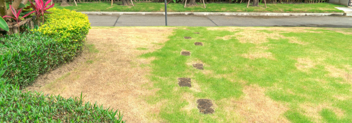 [paste advice page name here]