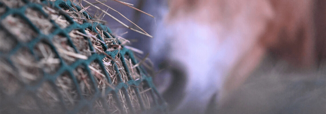 [paste advice page name here]