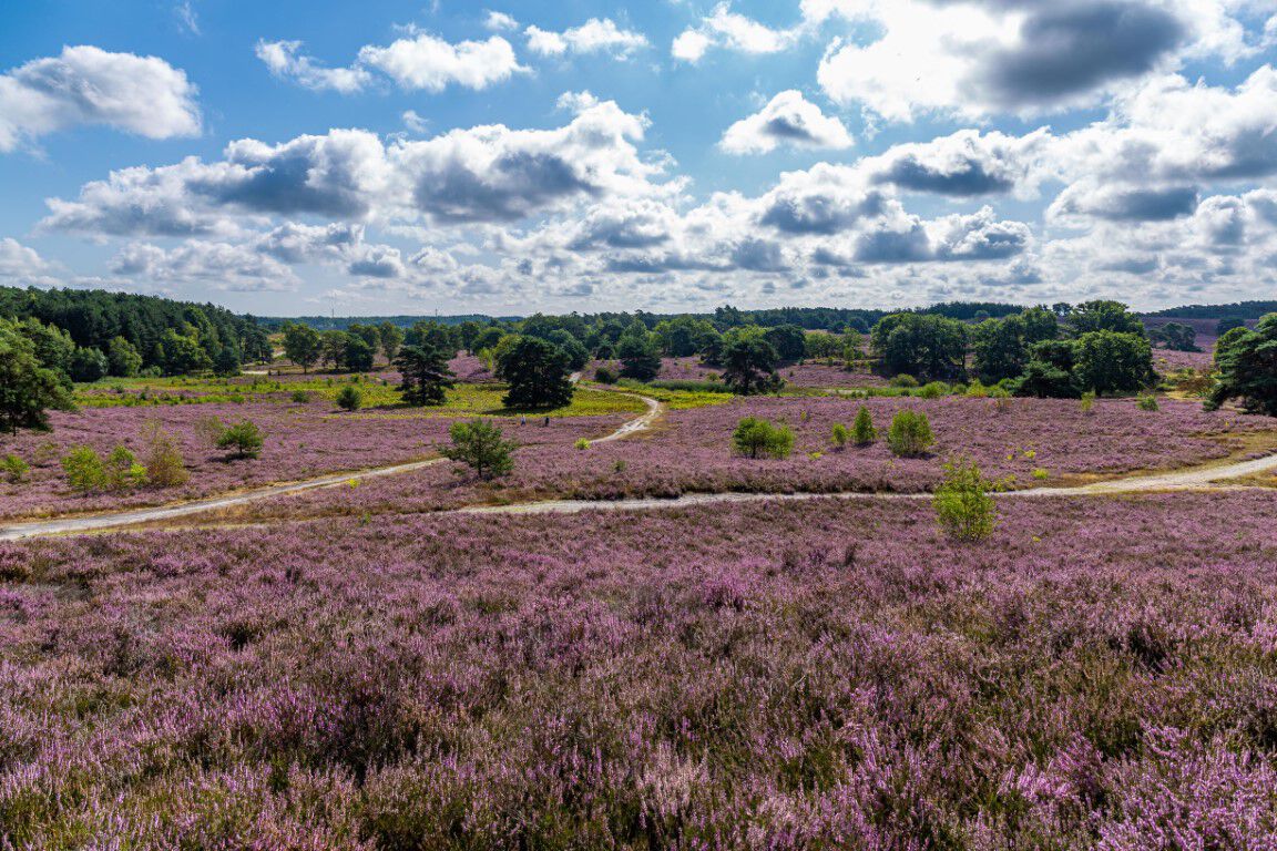 brunsummerheide limburg losloopgebieden welkoop