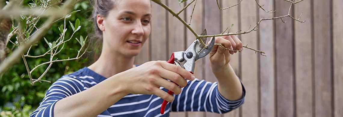 [paste advice page name here]