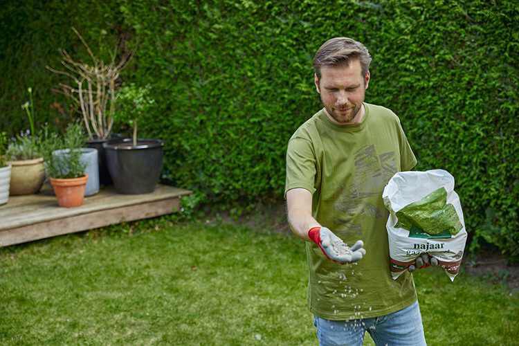 [paste advice page name here]