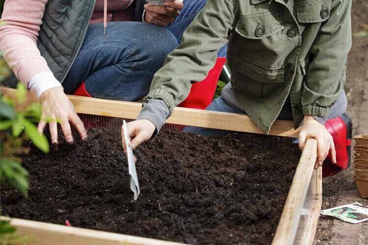 februari tuinkalender welkoop