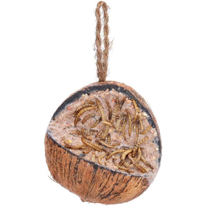 Welkoop - Kokosnoot met Meelwormen - Tuinvogelvoer - 380 Gram - Meelwormen