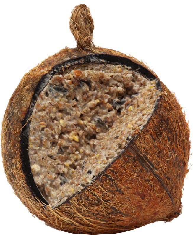 Welkoop - Gevulde Kokosnoot - Tuinvogelvoer - 380 Gram - Rundervet