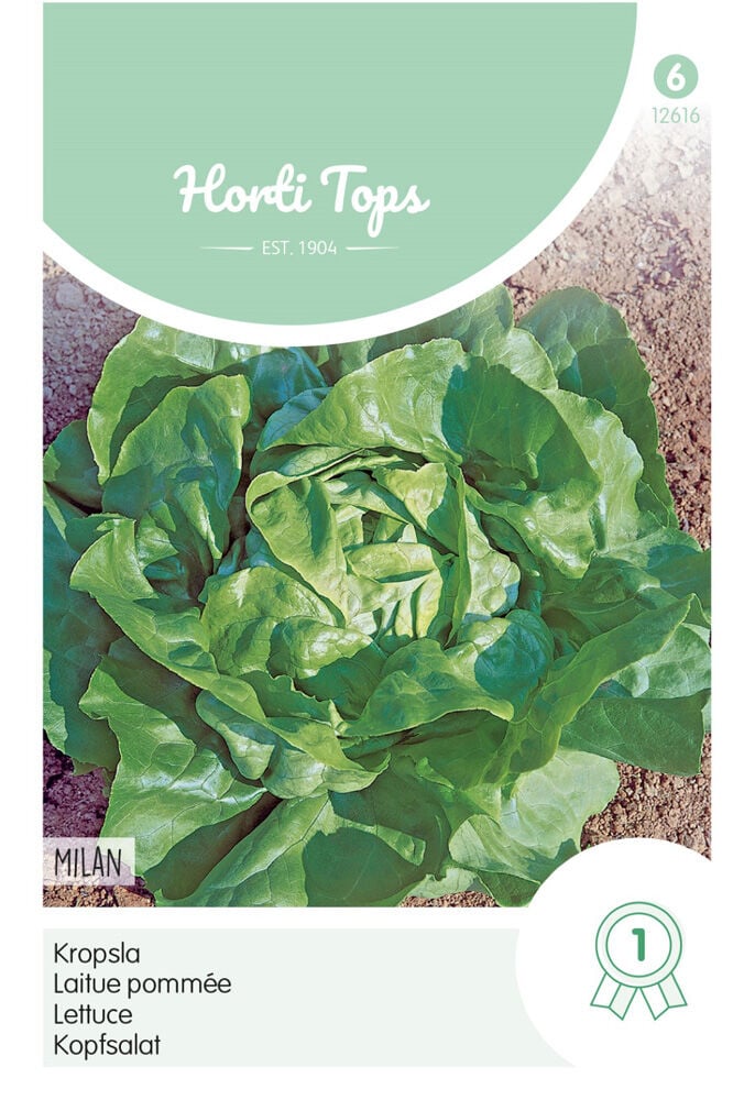 Hortitops Kropsla Lactuca sativa Milan - Sla Hortitops Kropsla Lactuca sativa Milan - Sla