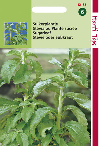 Hortitops Stevia stevia rebaudiana Suikerplantje - Kruidenzaden