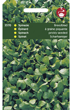 Hortitops Spinazie Spinacia oleracea Breedblad Scherpzaad,Zomer - Spinazie - 50 Gram Hortitops Spinazie Spinacia oleracea Breedblad Scherpzaad,Zomer - Spinazie - 50 Gram